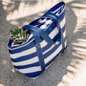 NWT Manna insulated cooler bag, blue and white striped